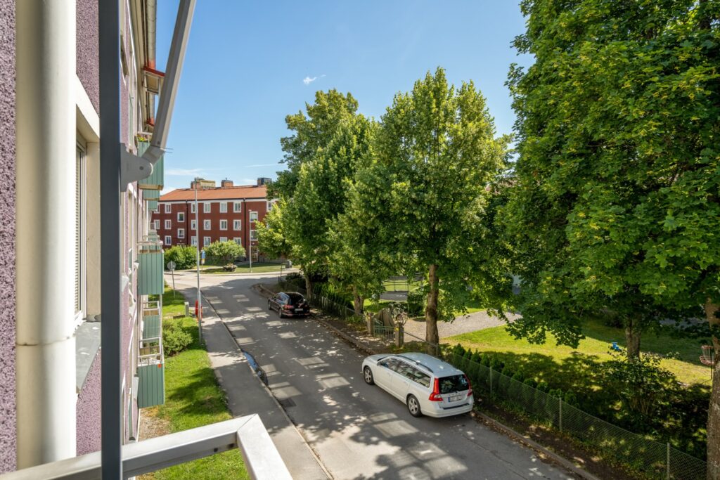 House image