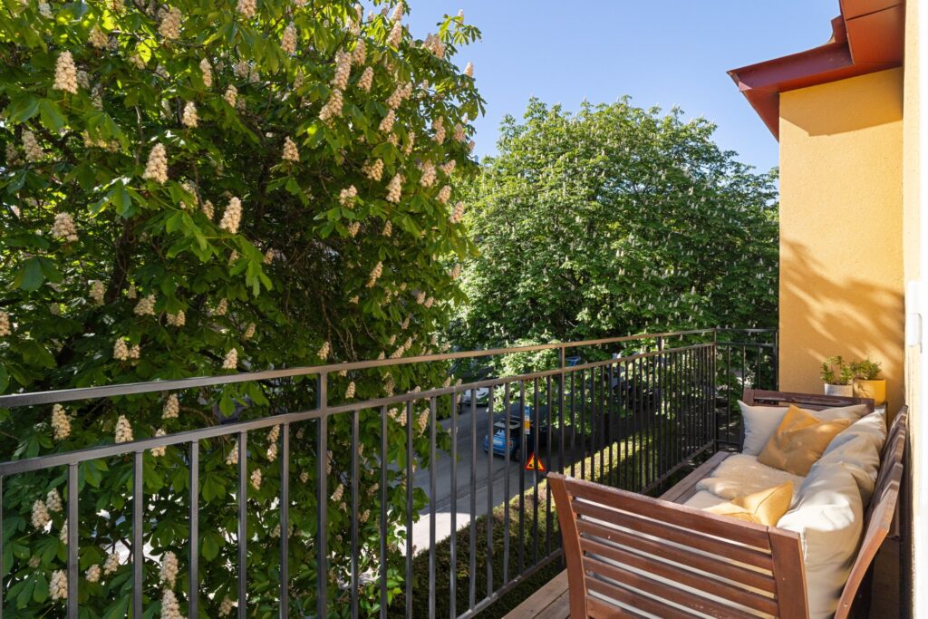 House image