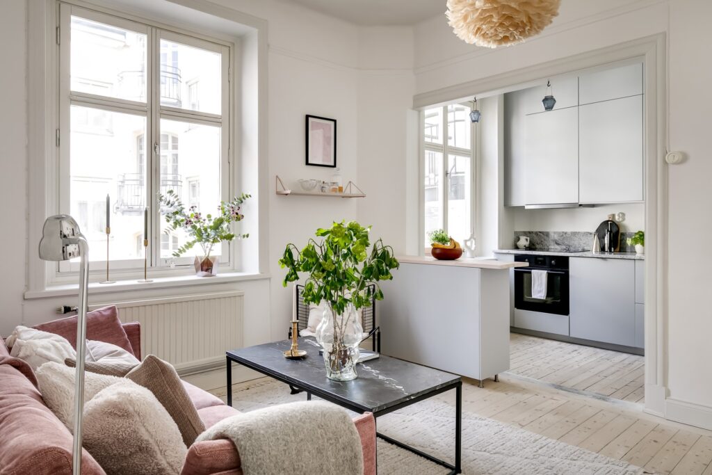 House image