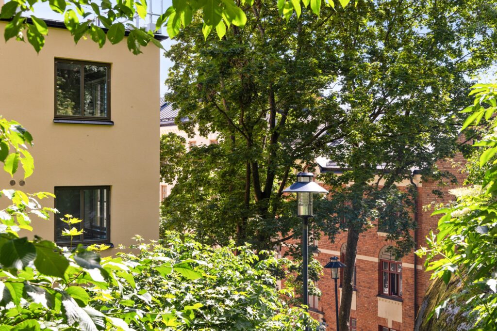 House image