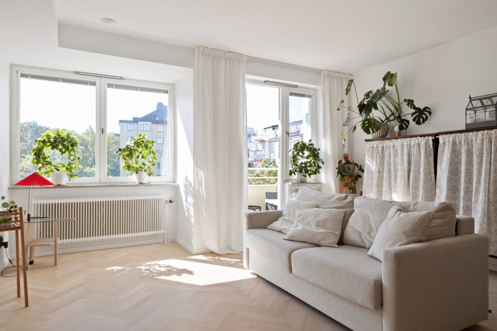 House image