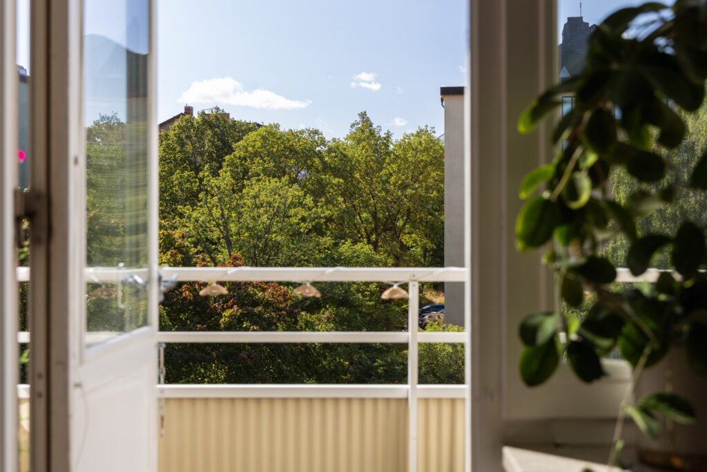 House image