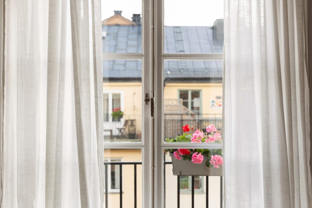 House image