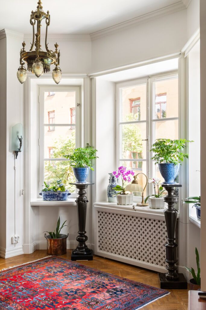 House image