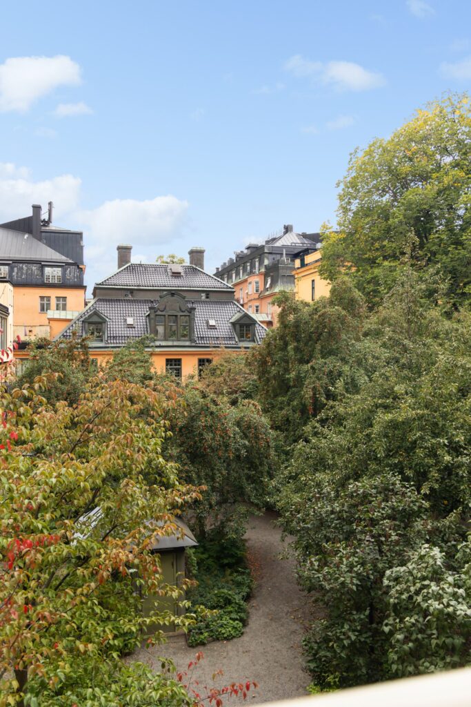 House image