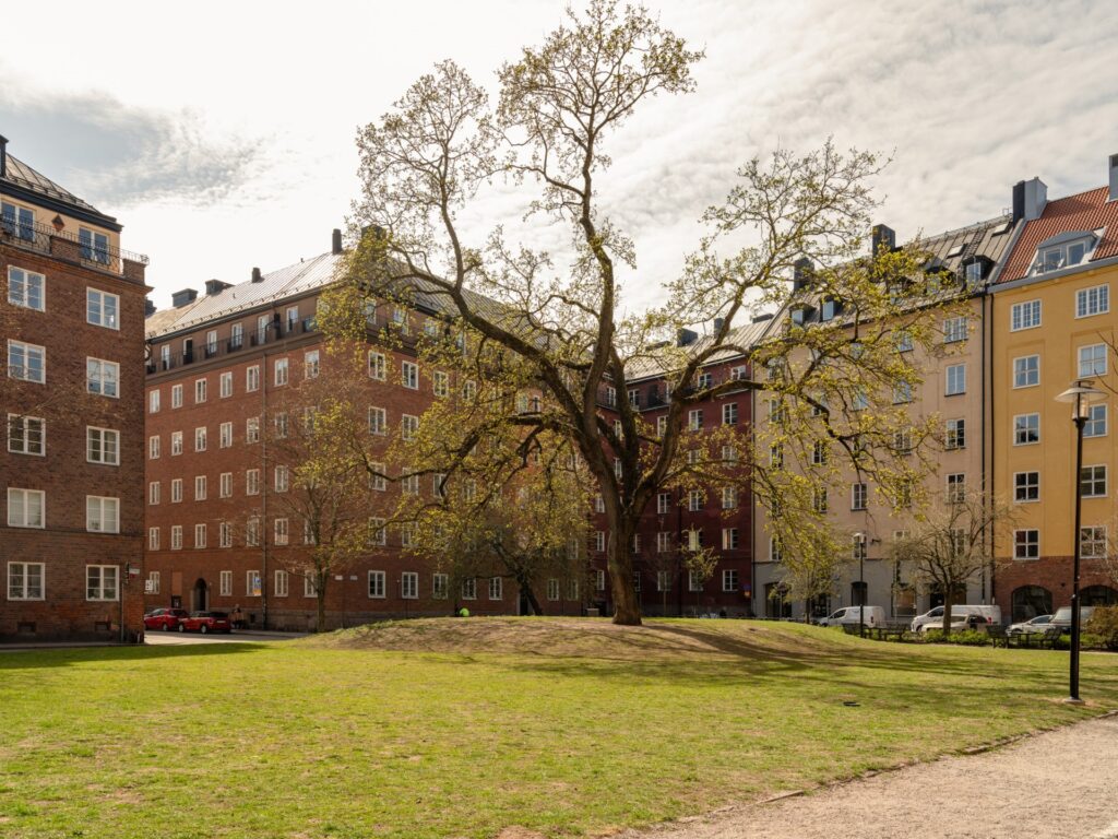 House image